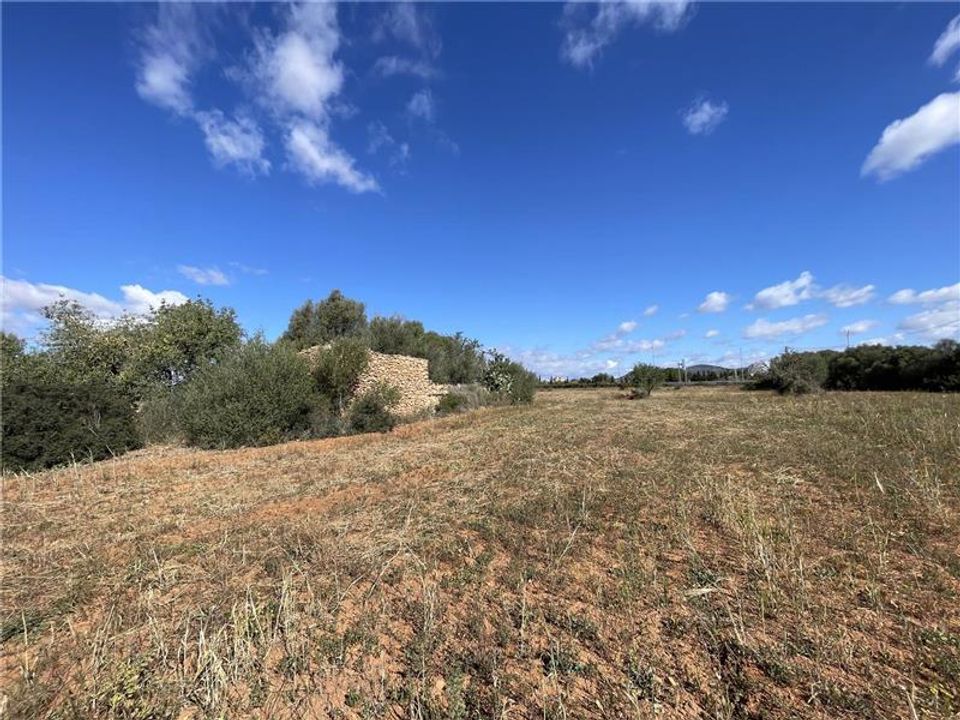 Villa i Llucmajor, Mallorca - foto 2